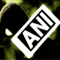 ANI News