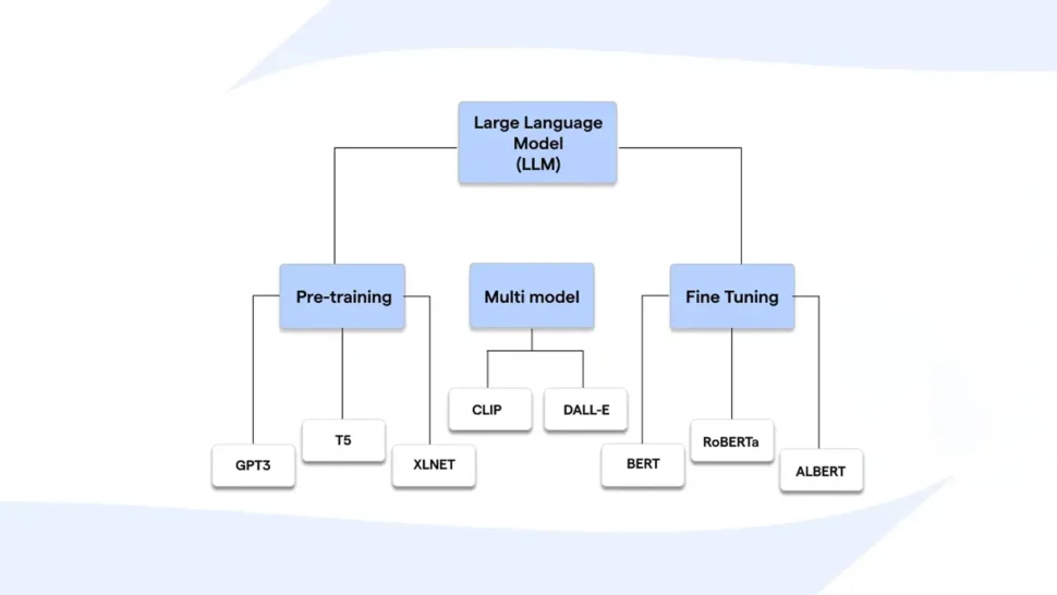 The Anatomy of an LLM: How Large Language Models Learn and Generate 9 Types and Uses of LLMs